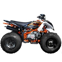 Квадрицикл A150
